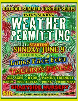 Weather Permitting Concert Series June 9th Poster