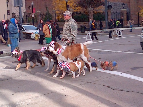 veterans-day-parade