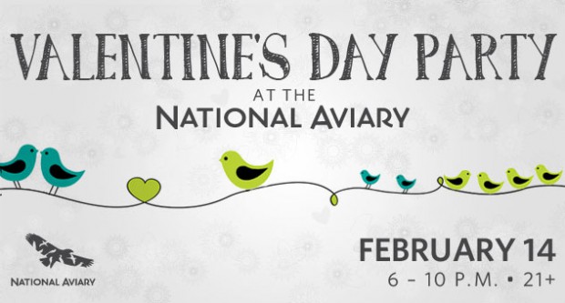 valentines-day-aviary